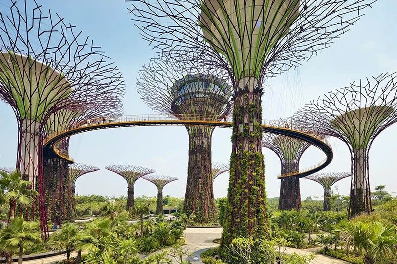 Garden by the bay tour thuyền biển 5 sao