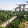 Khung cảnh Gardens by the bay điểm đến du lịch tàu biển