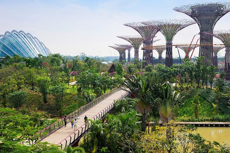 Khung cảnh Gardens by the bay điểm đến du lịch tàu biển