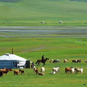 lịch trình kết hợp du lịch Mông Cổ với du thuyền Đông Bắc Á