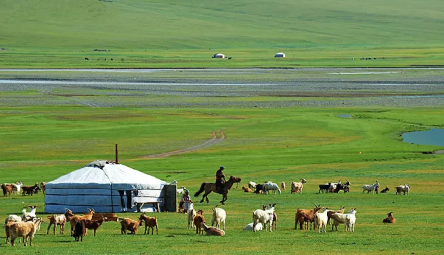 lịch trình kết hợp du lịch Mông Cổ với du thuyền Đông Bắc Á